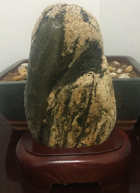 普通的石頭都可以叫泰山石嗎？