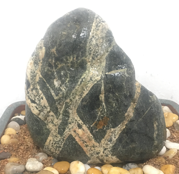 市場(chǎng)關(guān)閉了，哪里還有專門賣泰山石的？