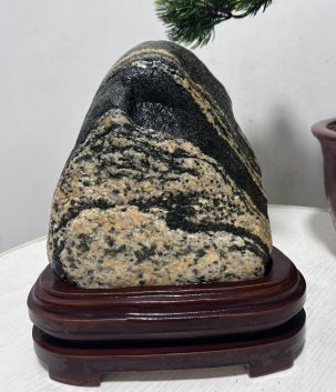 哪里看泰山石真石圖片？有何特點？